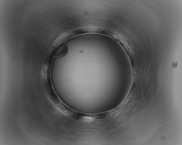 X0000101160167200806271018