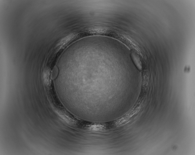 X0000101160168200806271018