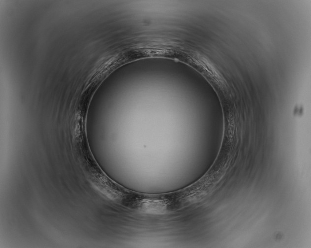 X0000101160169200806271018