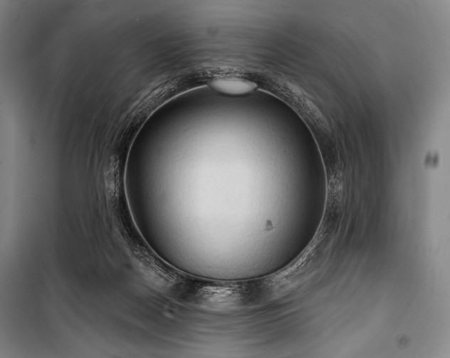 X0000101160170200806271018