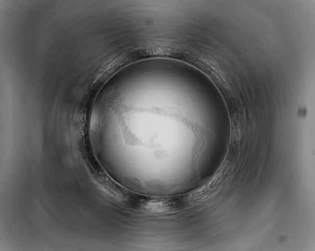 X0000101160171200806271018