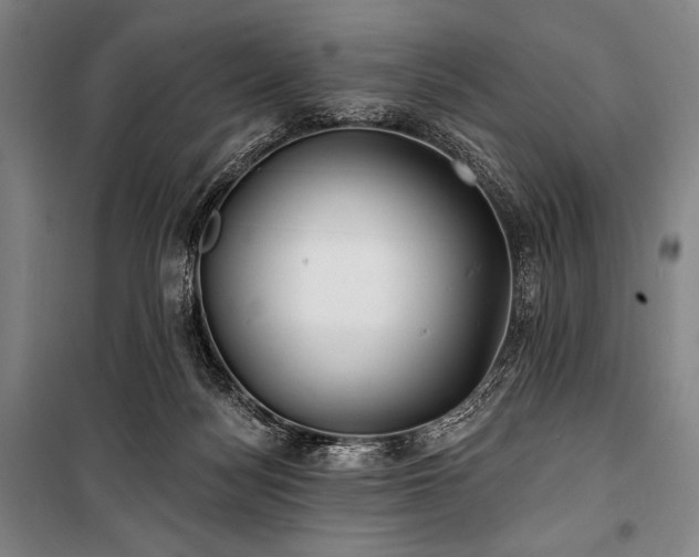 X0000101160172200806271018