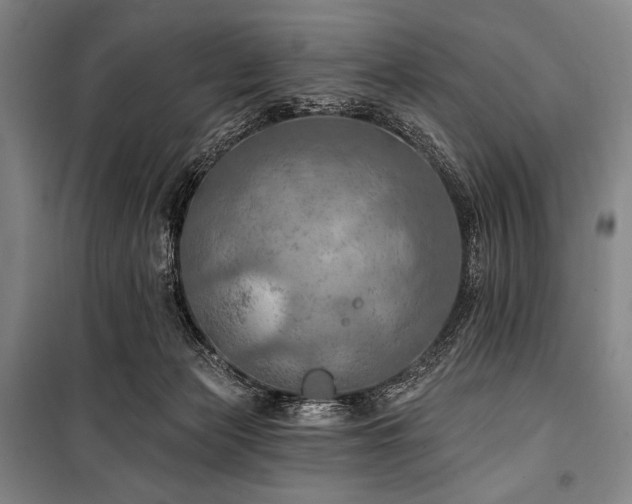 X0000101160173200806271018