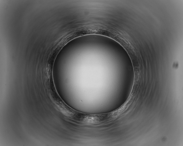 X0000101160174200806271018