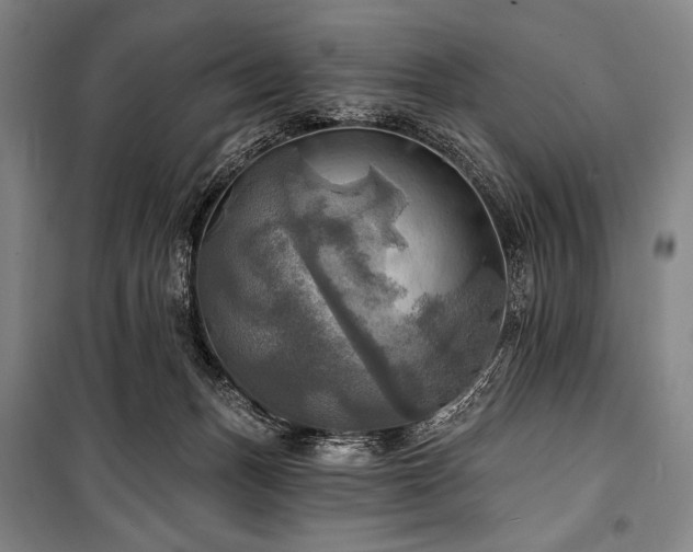 X0000101160175200806271018