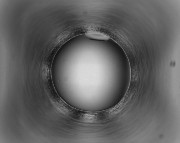 X0000101160176200806271018