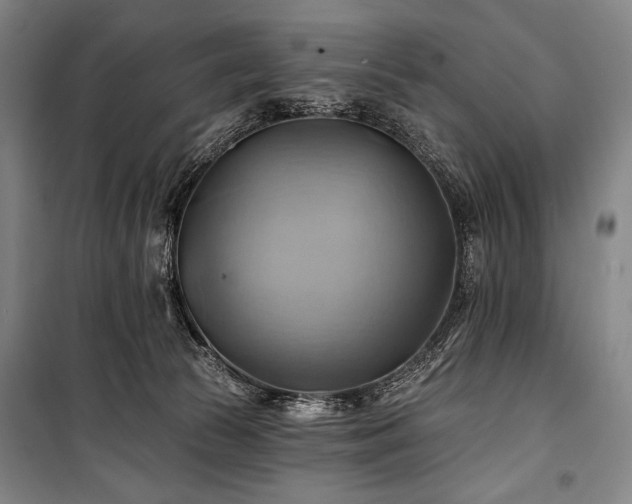 X0000101160177200806271018