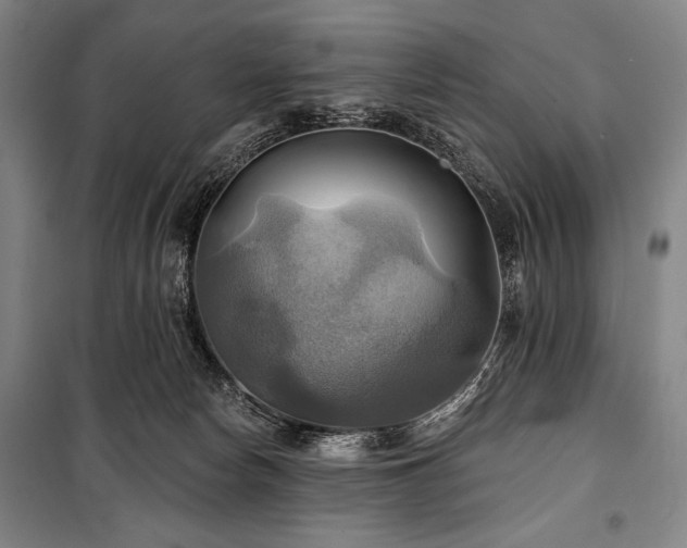 X0000101160178200806271018