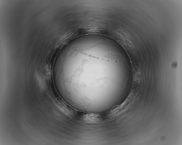 X0000101160179200806271018