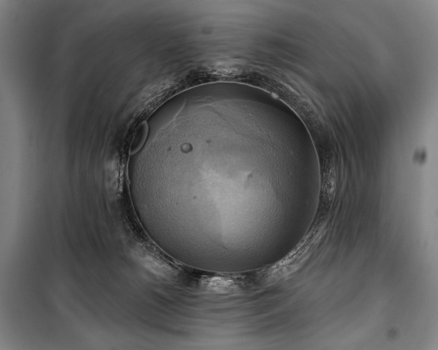 X0000101160180200806271018