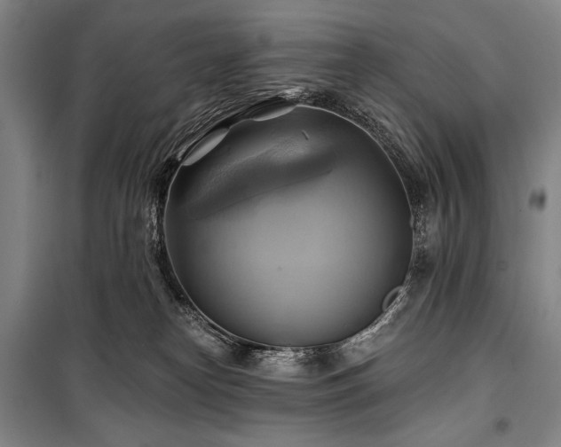 X0000101160182200806271018