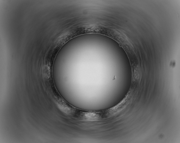 X0000101160183200806271018
