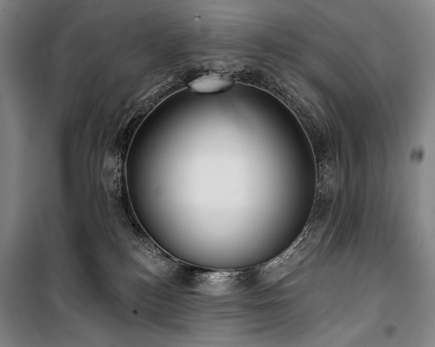X0000101160184200806271018