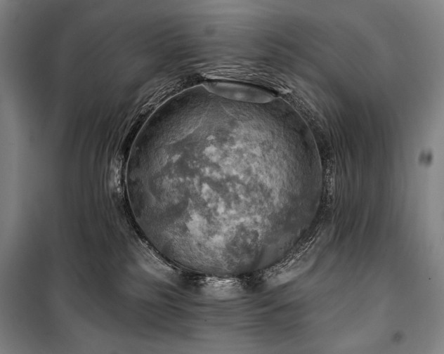 X0000101160185200806271018