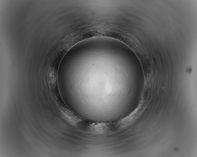 X0000101160186200806271018