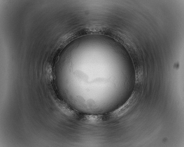 X0000101160187200806271018