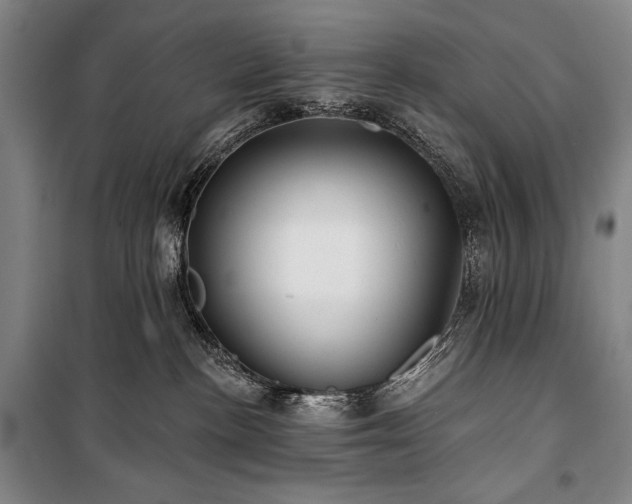 X0000101160188200806271018