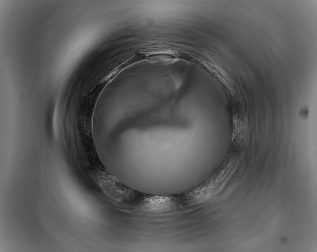 X0000101160189200806271018