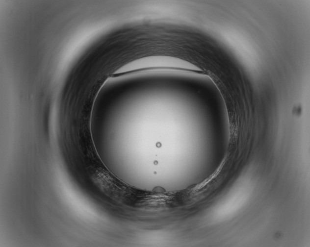 X0000101160190200806271018