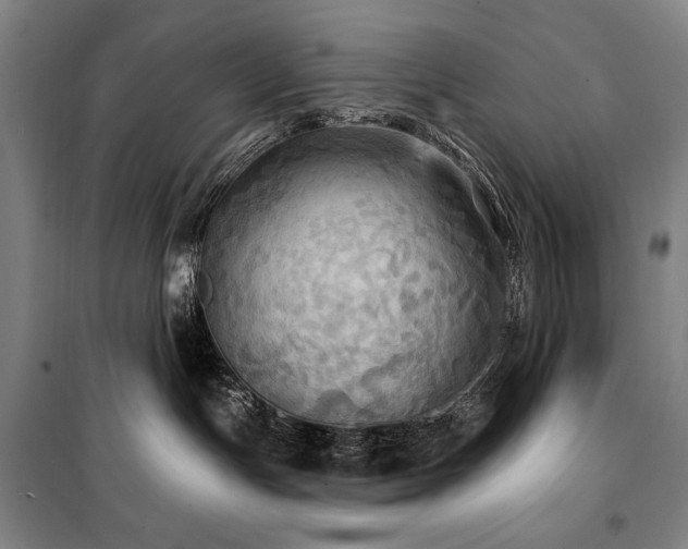 X0000101160191200806271018