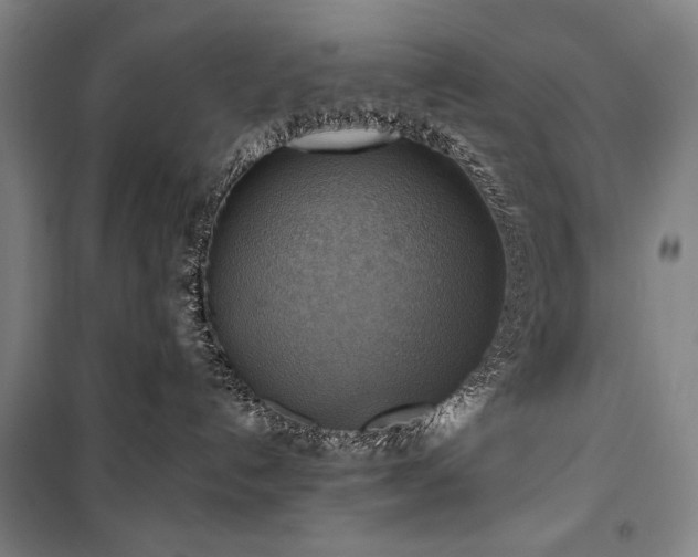 X0000101160192200806271018