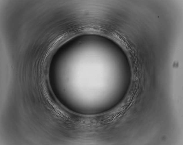 X0000101160193200806271018