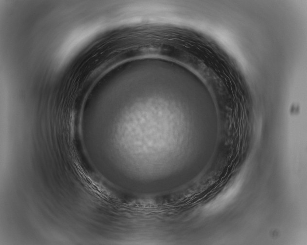 X0000101160194200806271018