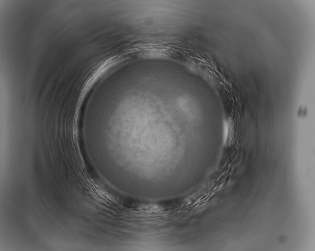 X0000101160195200806271017