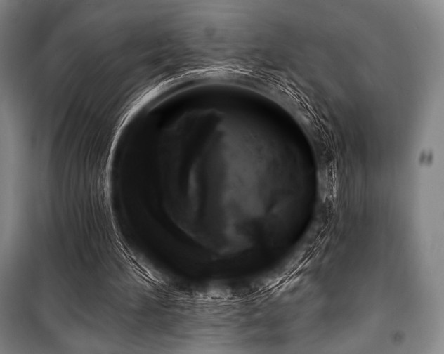 X0000101160196200806271017