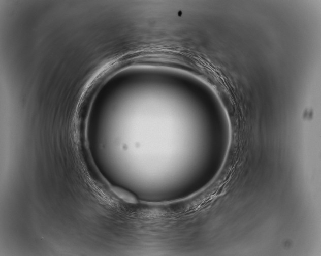 X0000101160197200806271017