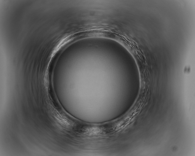 X0000101160198200806271017