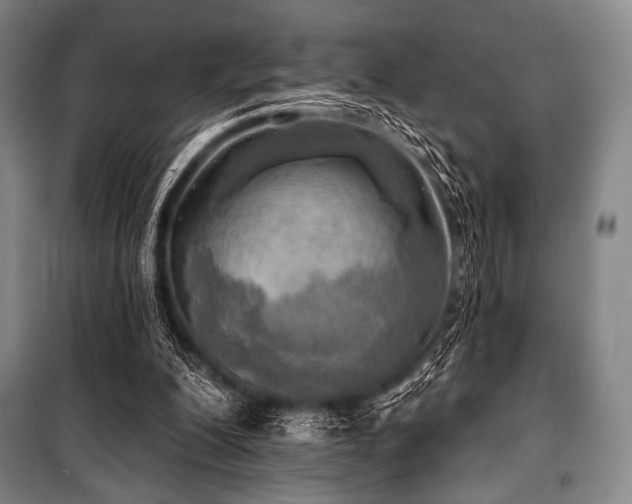 X0000101160200200806271017