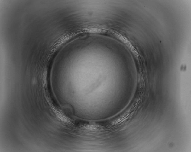 X0000101160201200806271017
