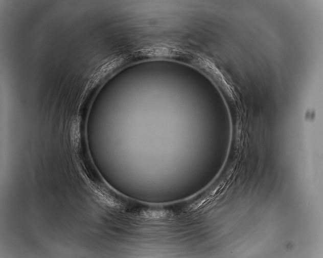 X0000101160202200806271017