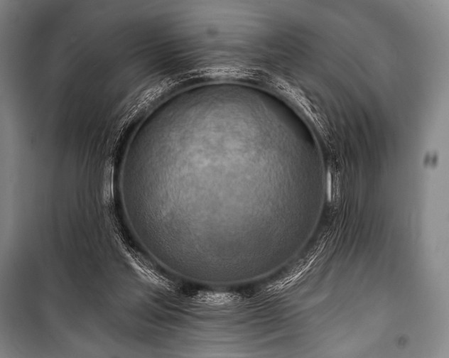 X0000101160205200806271017