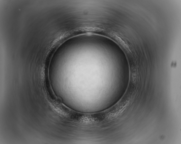X0000101160207200806271017