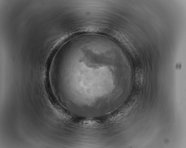 X0000101160208200806271017