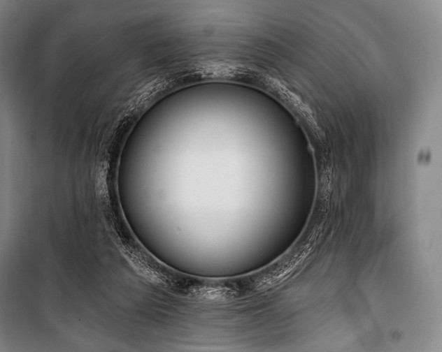 X0000101160209200806271017