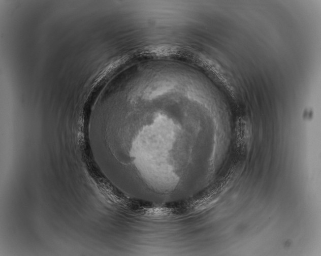 X0000101160212200806271017