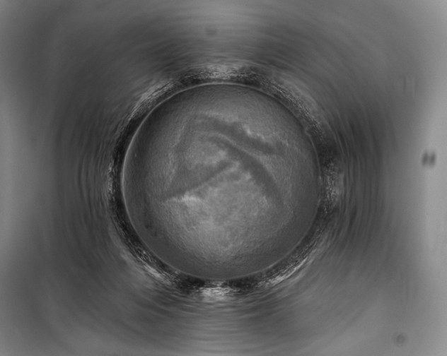 X0000101160216200806271017