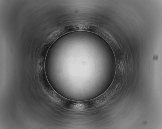 X0000101160218200806271017