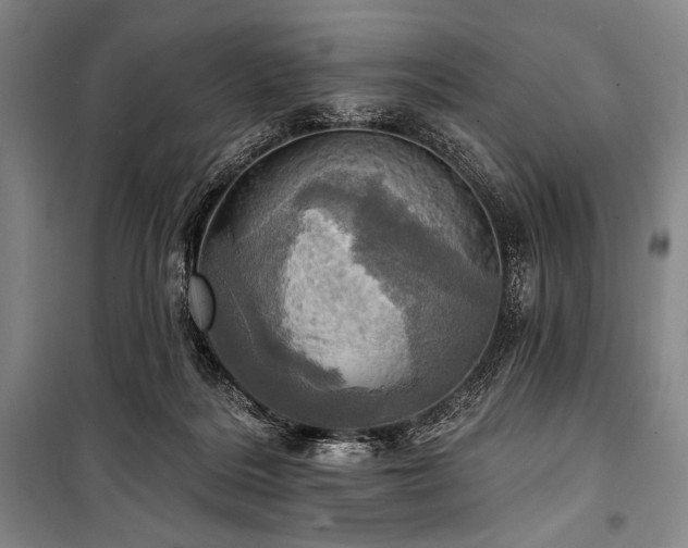 X0000101160220200806271017