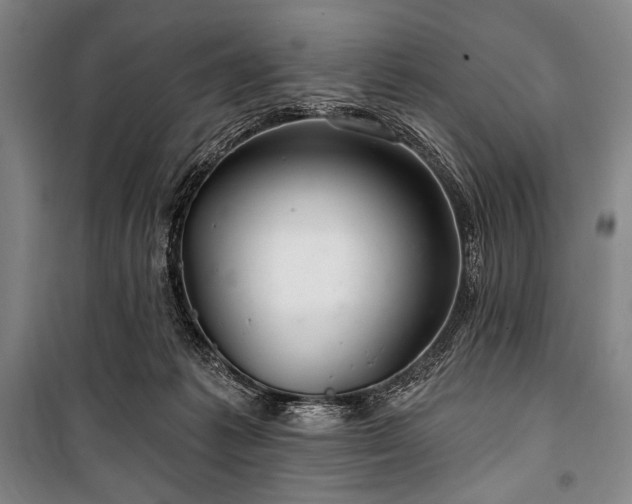 X0000101160221200806271017