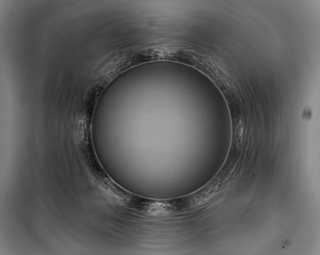 X0000101160222200806271017