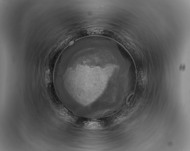 X0000101160224200806271017