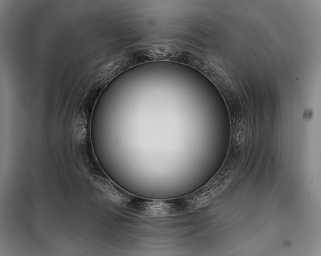X0000101160226200806271017