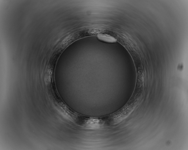 X0000101160227200806271017