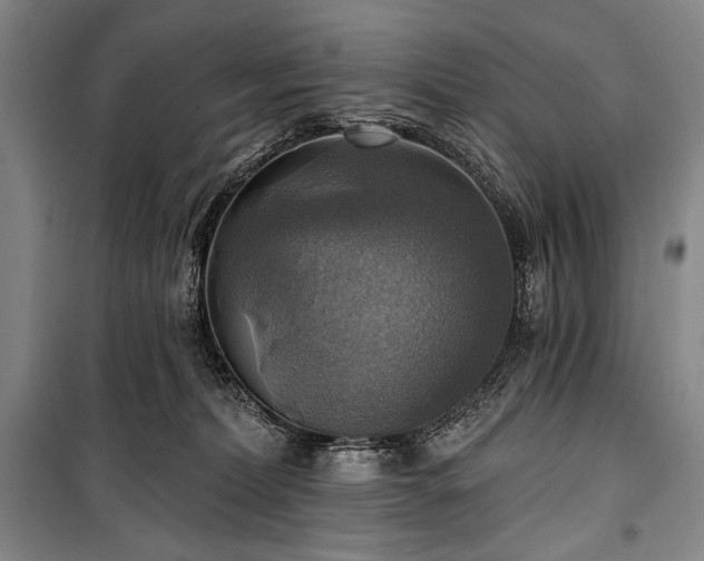 X0000101160228200806271017
