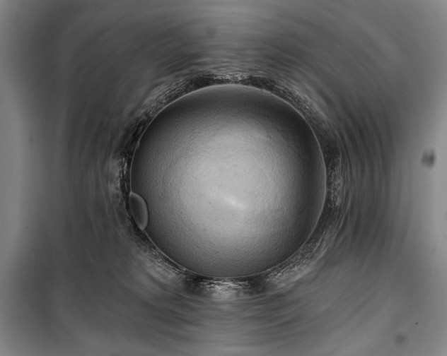 X0000101160229200806271017
