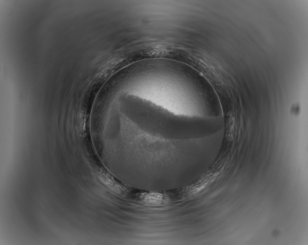 X0000101160230200806271017